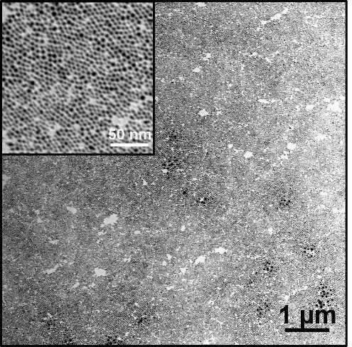Self-assembled monolayer of 4 nm gold nanoparticles (AuNP) coated with dodecanethiol.
